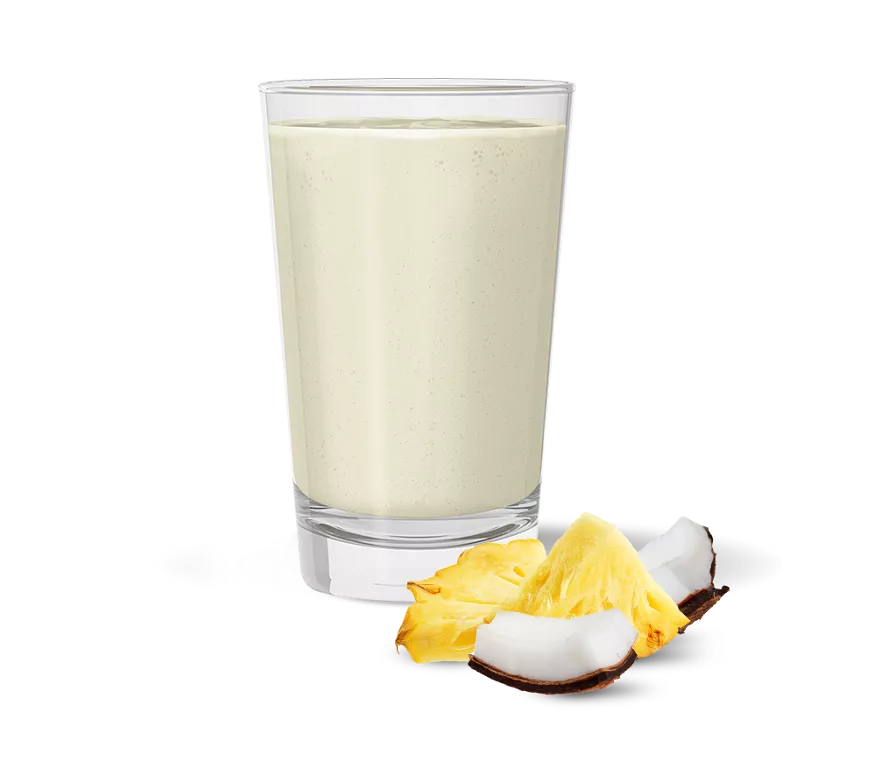 Fórmula 1 Alimento Equilibrado - Piña y Coco - Imagen 2